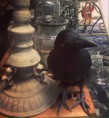 /album/bildgalleri-startsida/korpen-jpg/